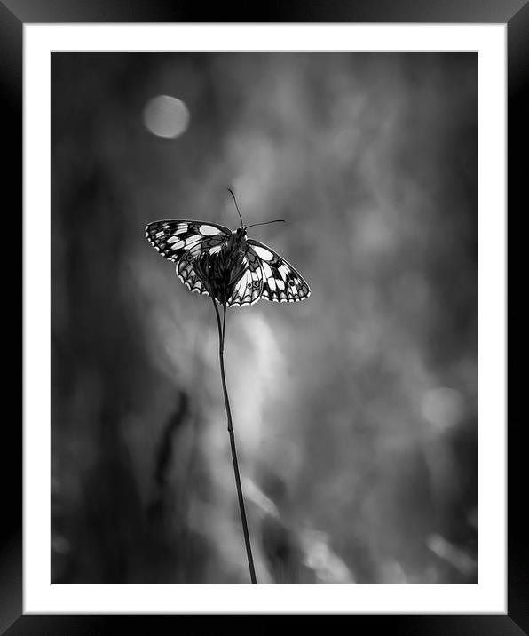 Marbled (Black and) White Framed Mounted Print by Mark Jones