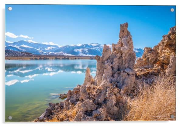 Amazing columns of limestone at Mono Lake in Mono  Acrylic by Erik Lattwein