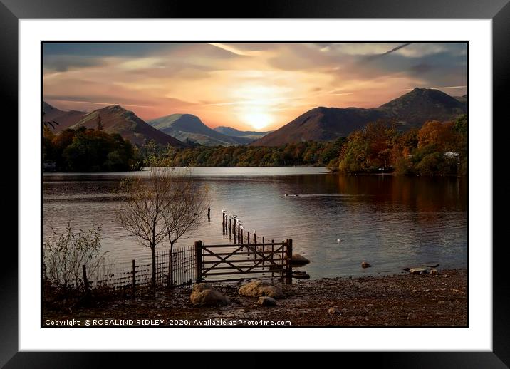 "Evening light at Derwentwater" Framed Mounted Print by ROS RIDLEY