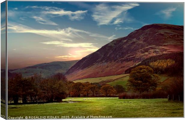 "Painterly Loweswater Valley" Canvas Print by ROS RIDLEY