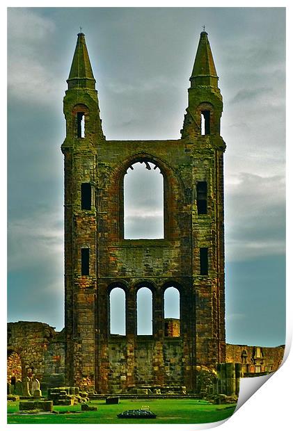 St Andrews Cathedral Print by Sian Davies