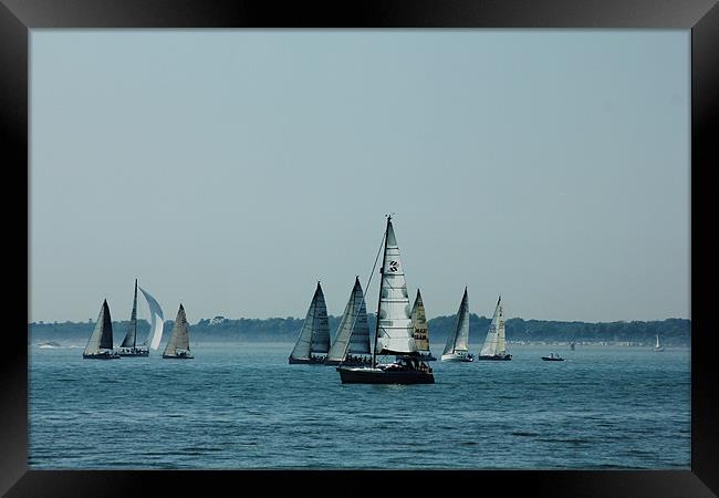 Lovely day for sailing! Framed Print by kelly Draper