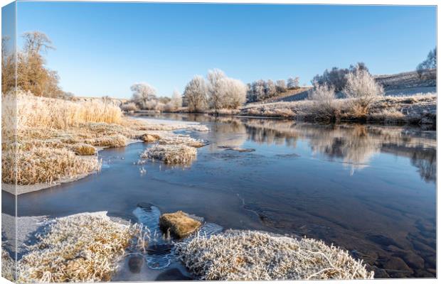 Teviot River on a Frosty Morning Canvas Print by Dave Collins