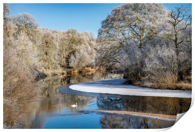 Teviot River on a Frosty Morning Print by Dave Collins