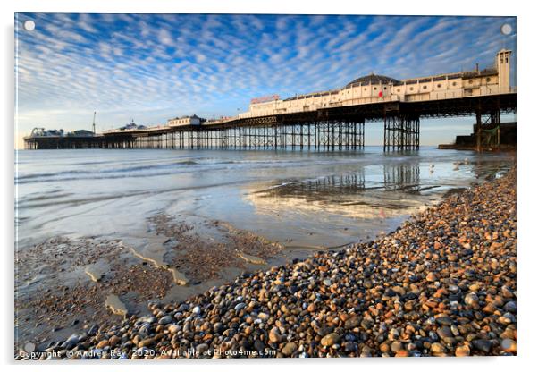 Palace Pier at low tide (Brighton) Acrylic by Andrew Ray