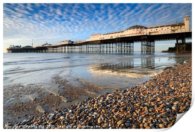 Palace Pier at low tide (Brighton) Print by Andrew Ray