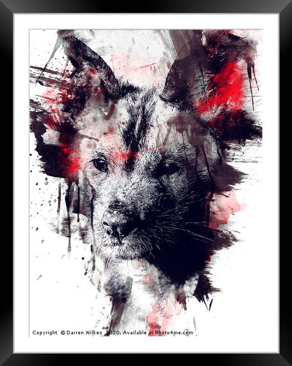  Painted Dog Art Framed Mounted Print by Darren Wilkes