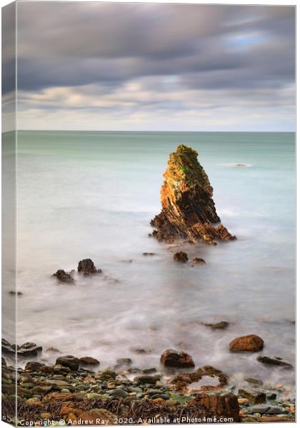 Porth Saint sea stack. Canvas Print by Andrew Ray