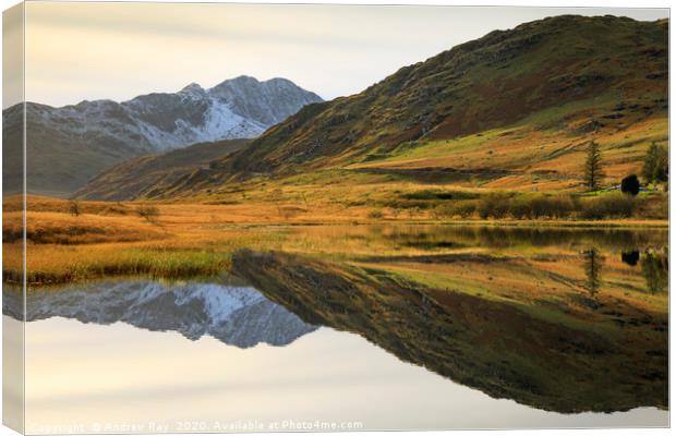 Reflections in Llyn Lockwood Canvas Print by Andrew Ray