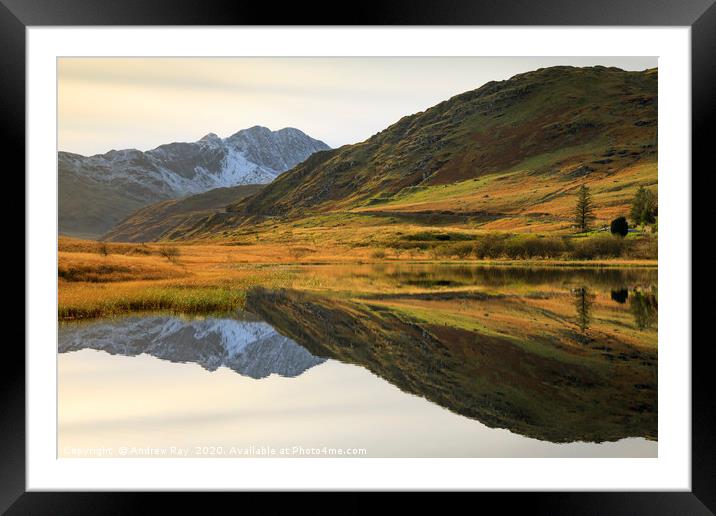 Reflections in Llyn Lockwood Framed Mounted Print by Andrew Ray