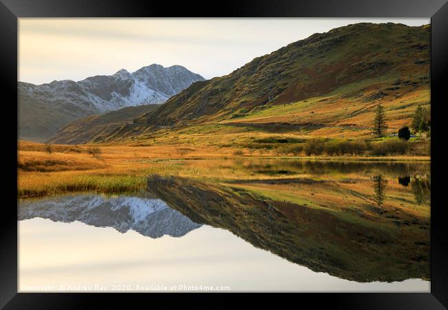 Reflections in Llyn Lockwood Framed Print by Andrew Ray