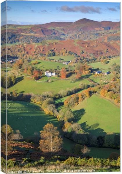 Autumn view (Castell Dinas Brân) Canvas Print by Andrew Ray