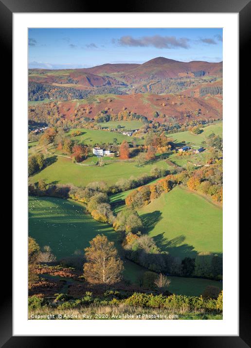 Autumn view (Castell Dinas Brân) Framed Mounted Print by Andrew Ray