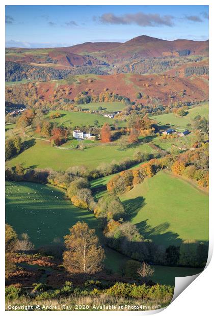Autumn view (Castell Dinas Brân) Print by Andrew Ray