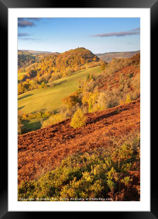 Autumn view (Panorama Walk) Framed Mounted Print by Andrew Ray