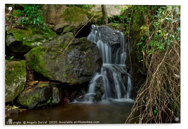 Rocks and waterfall in Monchique Acrylic by Angelo DeVal