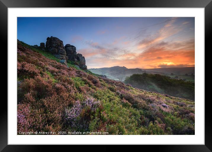 Heather at sunrise (Hen Cloud) Framed Mounted Print by Andrew Ray