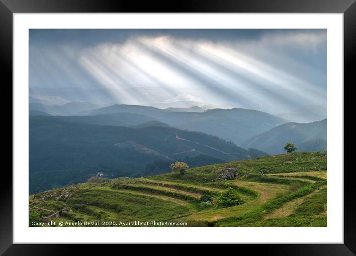 Sunrays over little trees and hill in Monchique Framed Mounted Print by Angelo DeVal