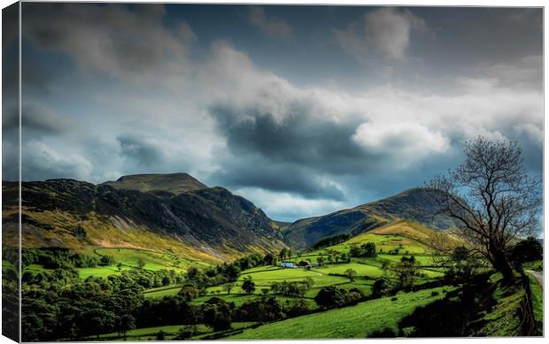 The Newlands Valley Canvas Print by John Malley