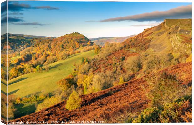 Towards Castell Dinas Brân Canvas Print by Andrew Ray