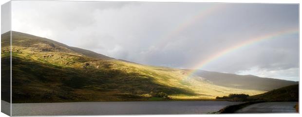 Snowdonia Rainbow Canvas Print by Wayne Molyneux