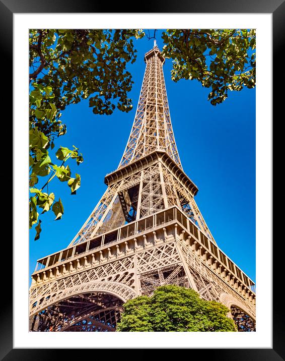 Famous Eiffel Tower in Paris on a sunny day Framed Mounted Print by Erik Lattwein