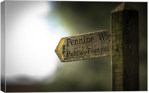 The Pennine Way Canvas Print by John Malley