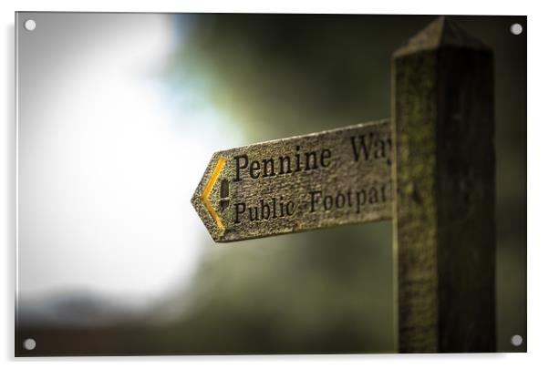 The Pennine Way Acrylic by John Malley