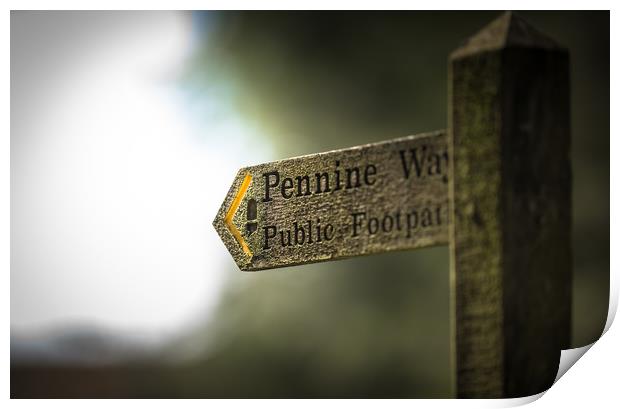 The Pennine Way Print by John Malley