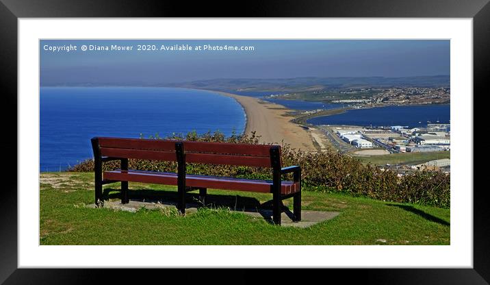 Chesil Beach Dorset Framed Mounted Print by Diana Mower