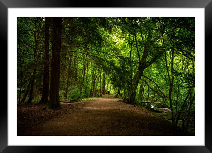 Get Wood Framed Mounted Print by Charles Little