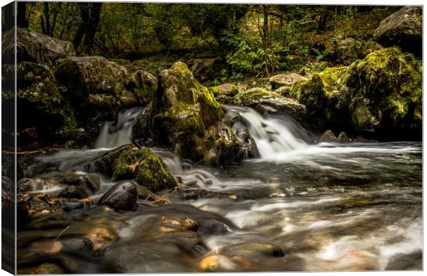 The River Flows Canvas Print by John Malley