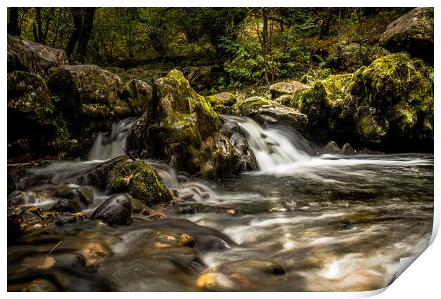 The River Flows Print by John Malley