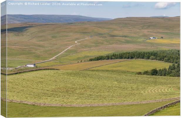 Upper Teesdale in Summer (3) Canvas Print by Richard Laidler