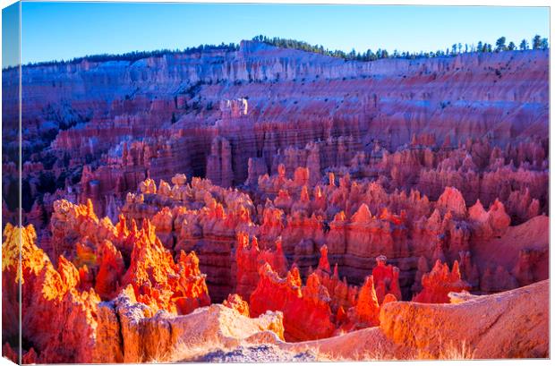 The famous Bryce Canyon National Park in Utah Canvas Print by Erik Lattwein