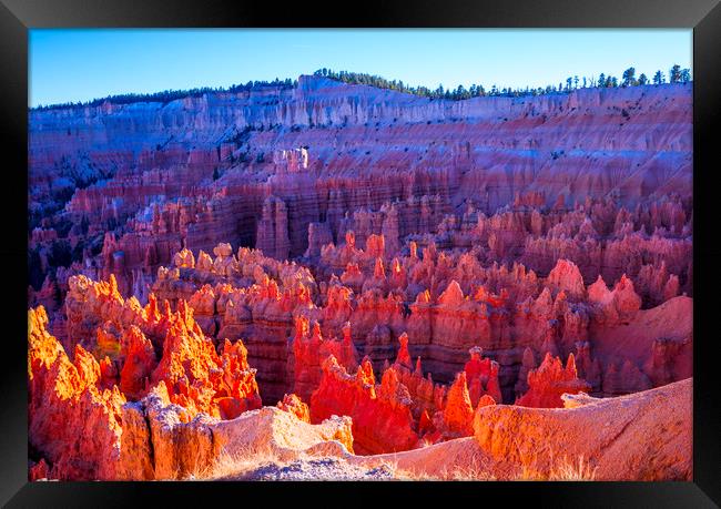 The famous Bryce Canyon National Park in Utah Framed Print by Erik Lattwein