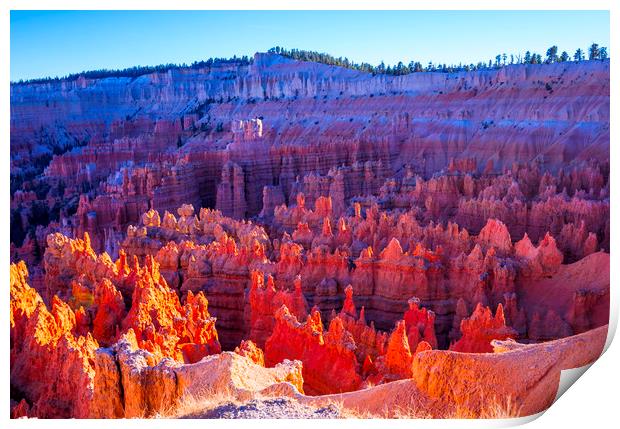 The famous Bryce Canyon National Park in Utah Print by Erik Lattwein