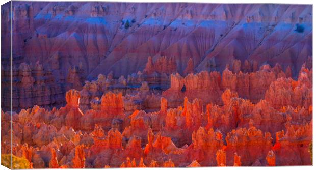 Wonderful Scenery at Bryce Canyon National Park in Canvas Print by Erik Lattwein