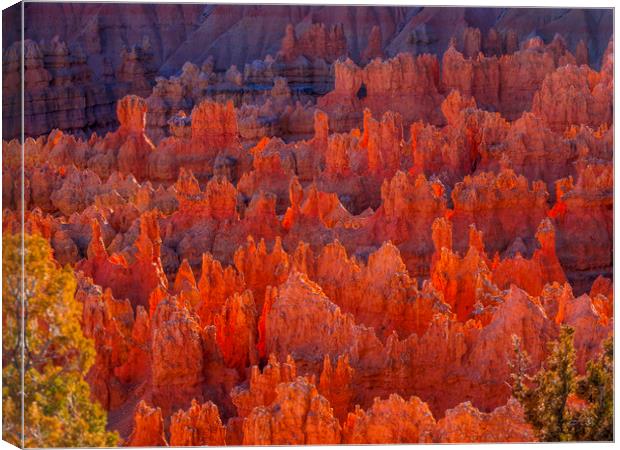 Most beautiful places on Earth - Bryce Canyon Nati Canvas Print by Erik Lattwein