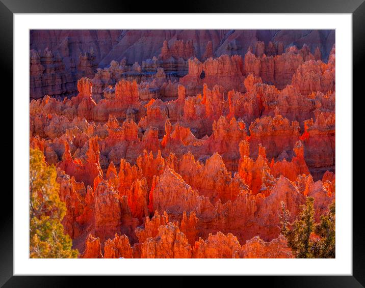 Most beautiful places on Earth - Bryce Canyon Nati Framed Mounted Print by Erik Lattwein