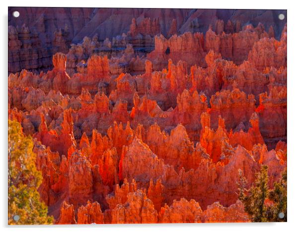 Most beautiful places on Earth - Bryce Canyon Nati Acrylic by Erik Lattwein