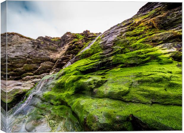 Beautiful waterfall over mossy stones in the Cove  Canvas Print by Erik Lattwein