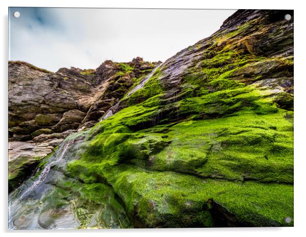 Beautiful waterfall over mossy stones in the Cove  Acrylic by Erik Lattwein