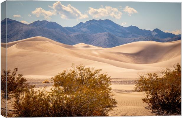 Big Sand Dunes in the desert of Nevada Canvas Print by Erik Lattwein