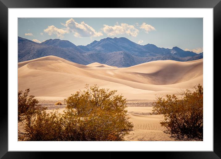 Big Sand Dunes in the desert of Nevada Framed Mounted Print by Erik Lattwein