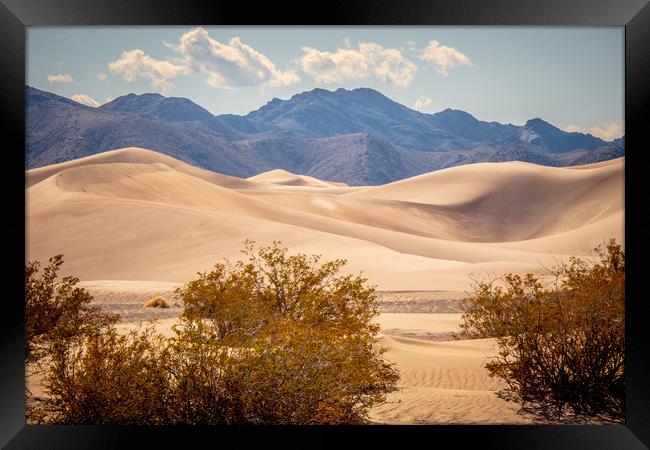 Big Sand Dunes in the desert of Nevada Framed Print by Erik Lattwein