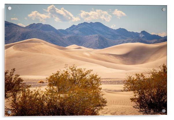 Big Sand Dunes in the desert of Nevada Acrylic by Erik Lattwein