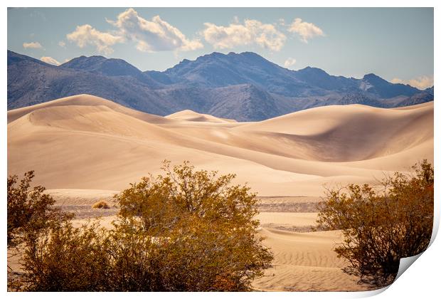 Big Sand Dunes in the desert of Nevada Print by Erik Lattwein