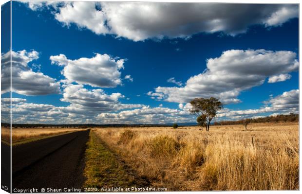 Out On The Western Downs Canvas Print by Shaun Carling