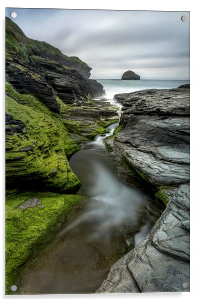 Rock gully, Trebarwith Strand, Cornwall Acrylic by Mick Blakey